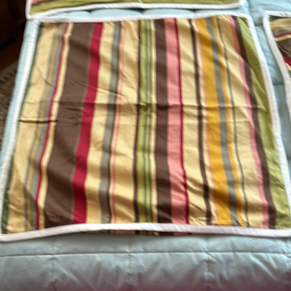 2 Pottery Barn Euro Shams